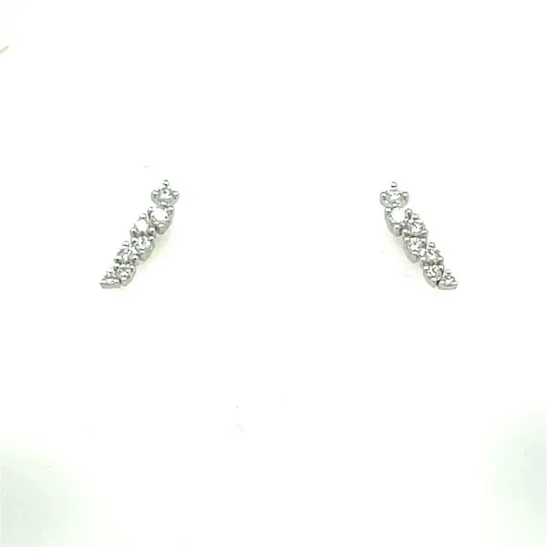 14kw Gold 0.28ct TW Diamond Stud Earrings, 14fc House of Silva Wooster, OH