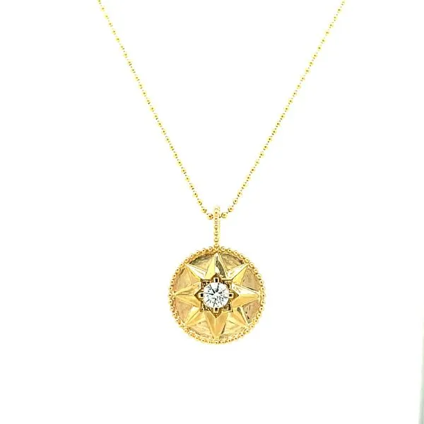 Pendant House of Silva Wooster, OH