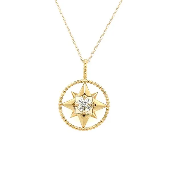 Pendant House of Silva Wooster, OH