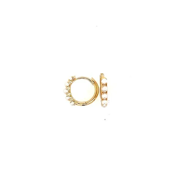 Earring House of Silva Wooster, OH