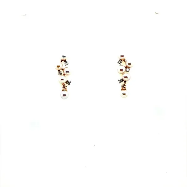Earring House of Silva Wooster, OH