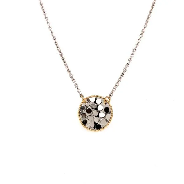 Pendant House of Silva Wooster, OH