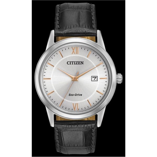 Watch House of Silva Wooster, OH