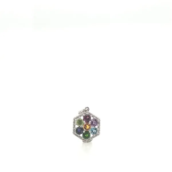 Pendant House of Silva Wooster, OH