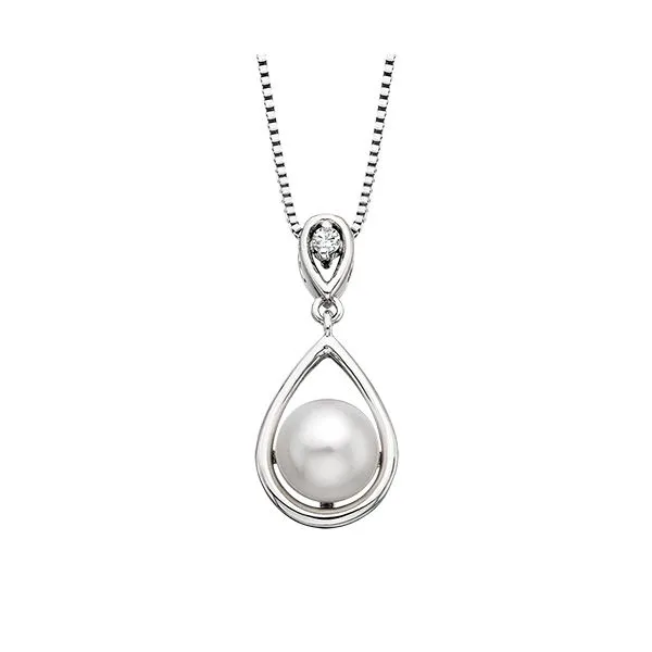 Pendant House of Silva Wooster, OH
