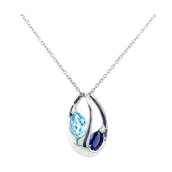 Pendant House of Silva Wooster, OH