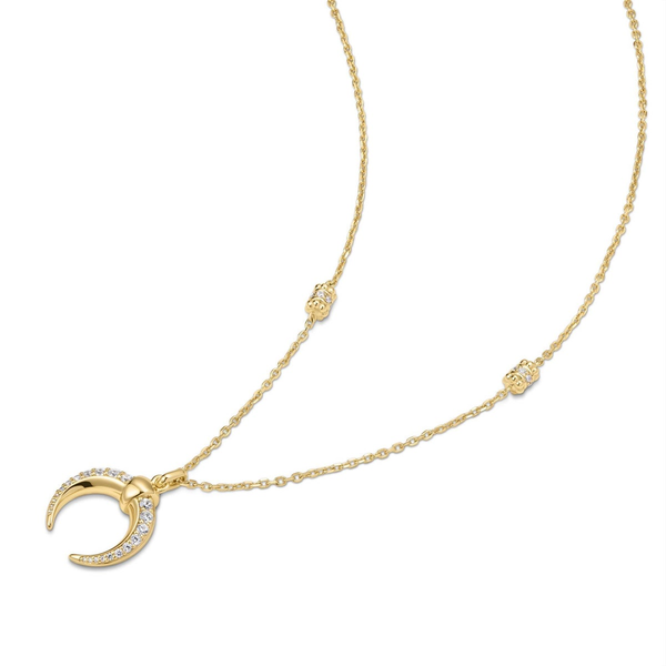 Tide Echo Gold reversible Horn Necklace Image 3 House of Silva Wooster, OH