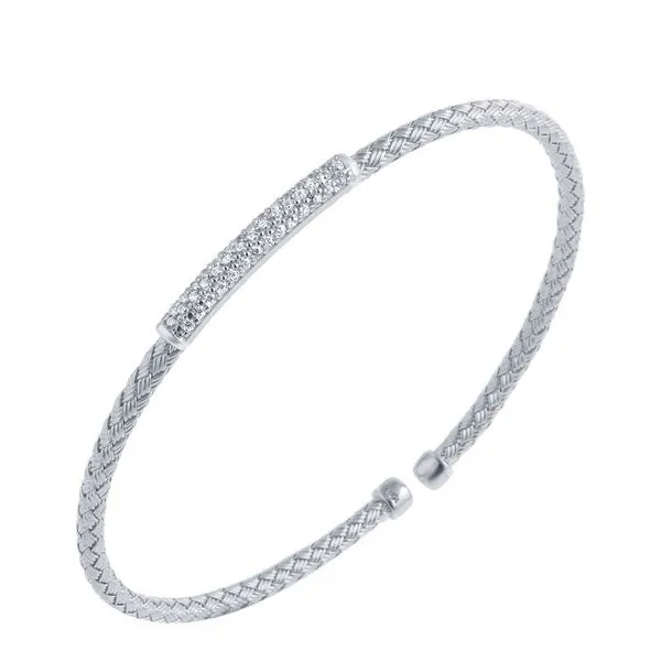 Charles Garnier House of Silva Wooster, OH