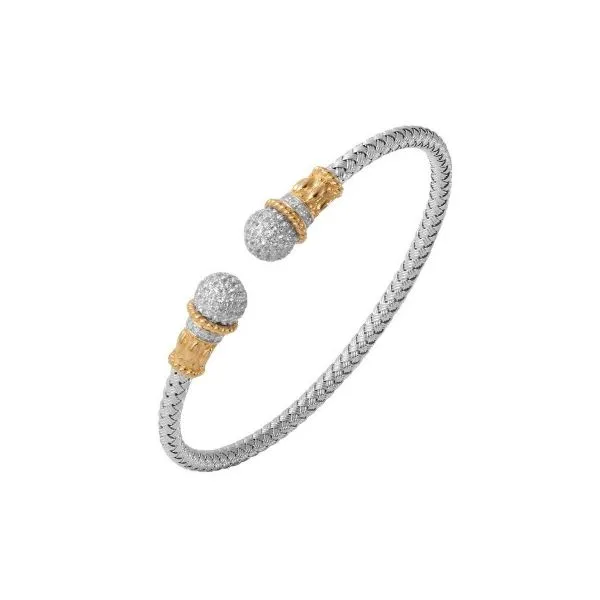 Charles Garnier House of Silva Wooster, OH