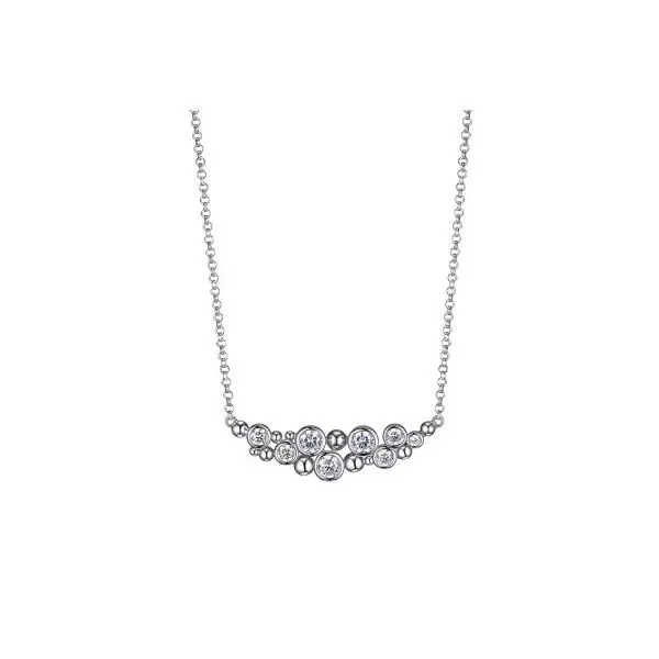 Charles Garnier House of Silva Wooster, OH