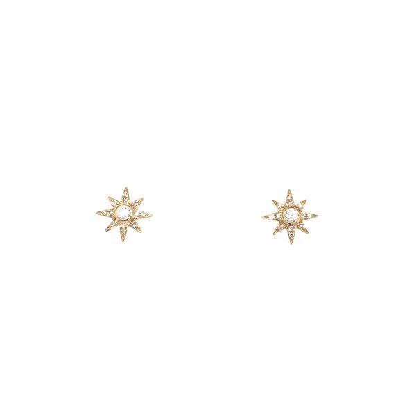 14k yellow gold star designed stud earrings featuring 0.13cttw diamonds set inside of the star. This design features different d Hudson Valley Goldsmith New Paltz, NY