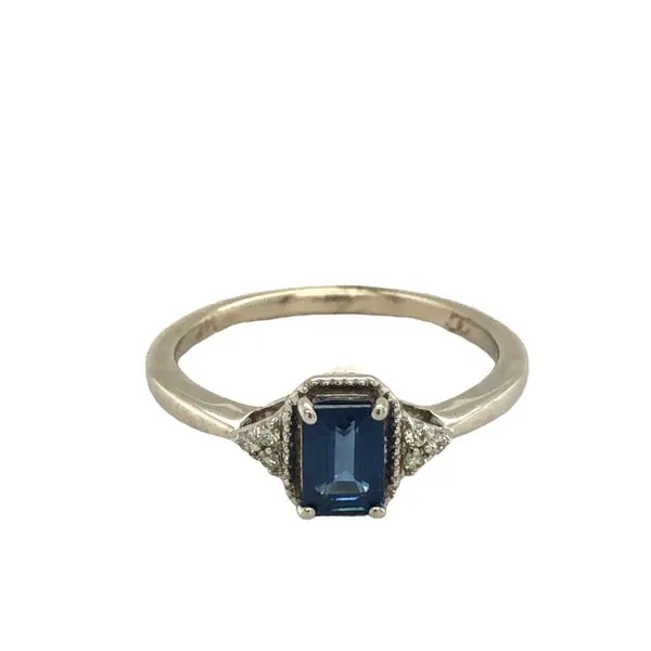 14K White Gold Sapphire Ring With Triangle Of Small Round Diamonds On Each Side.05Ctw Hudson Valley Goldsmith New Paltz, NY