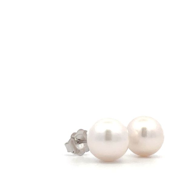 White Akoya Pearl Stud Earrings Image 2 Hudson Valley Goldsmith New Paltz, NY