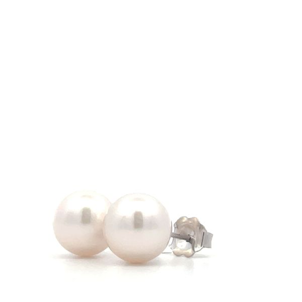 White Akoya Pearl Stud Earrings Image 3 Hudson Valley Goldsmith New Paltz, NY