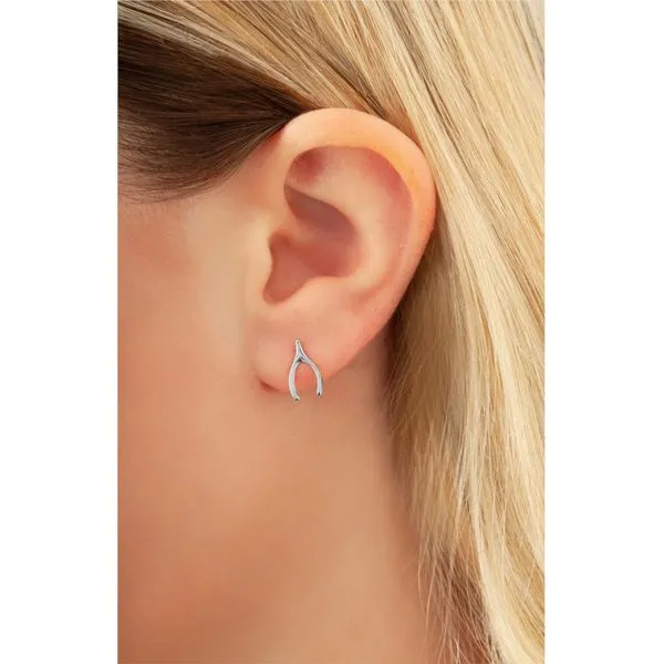 14K White Gold Small Wishbone Stud Earrings Image 2 Hudson Valley Goldsmith New Paltz, NY
