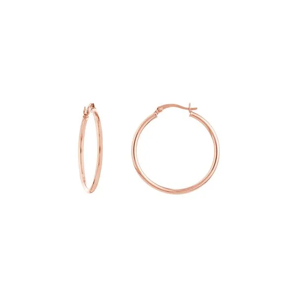 Earrings Hudson Valley Goldsmith New Paltz, NY