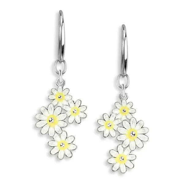 Enamel Earrings Hudson Valley Goldsmith New Paltz, NY