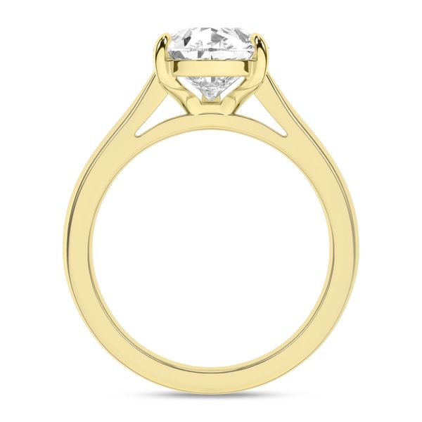 Diamond Engagement Ring Image 3 Hupp Jewelers Fishers, IN