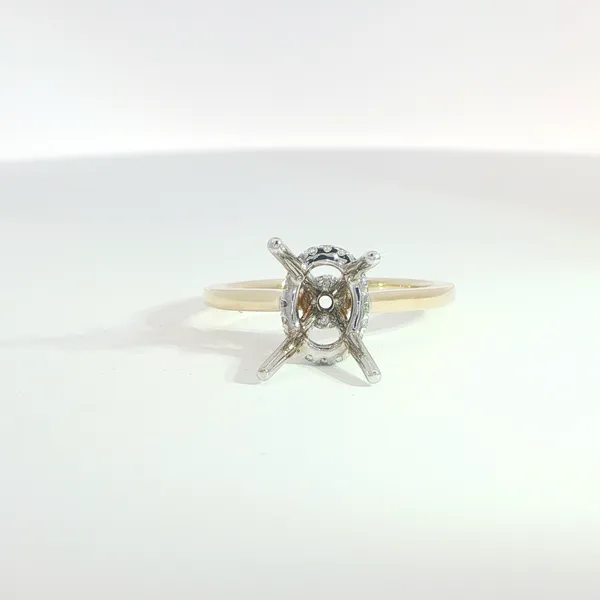 Engagement Ring Setting Hupp Jewelers Fishers, IN