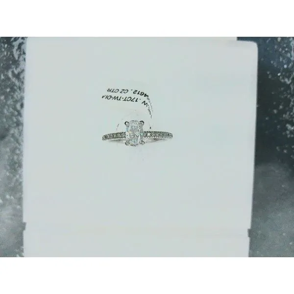 Engagement Ring Setting Hupp Jewelers Fishers, IN