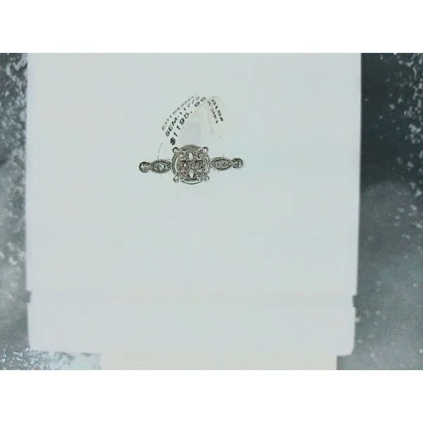 Engagement Ring Setting Hupp Jewelers Fishers, IN