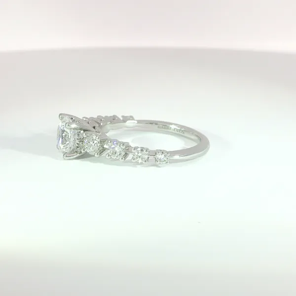 Engagement Ring Setting Image 2 Hupp Jewelers Fishers, IN