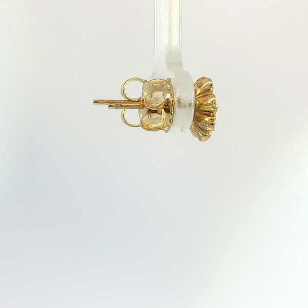 Diamond Earrings Image 5 Hupp Jewelers Fishers, IN