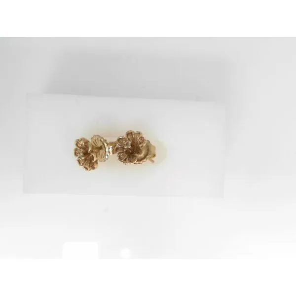 Diamond Earrings Hupp Jewelers Fishers, IN