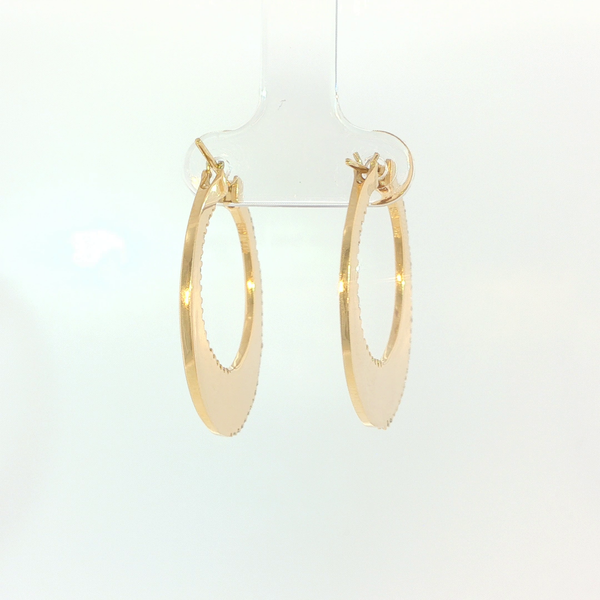 Diamond Earrings Image 4 Hupp Jewelers Fishers, IN