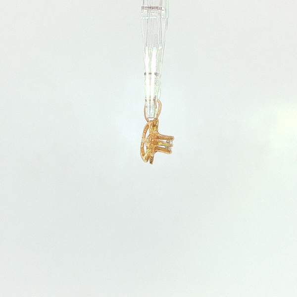 Diamond Pendant Image 5 Hupp Jewelers Fishers, IN