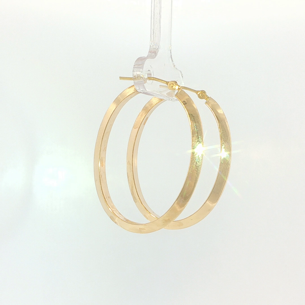 Precious Metal Earrings Image 2 Hupp Jewelers Fishers, IN