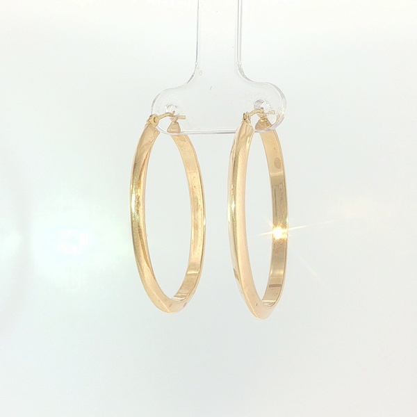 Precious Metal Earrings Hupp Jewelers Fishers, IN