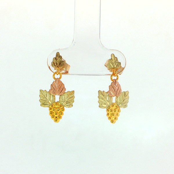 Precious Metal Earrings Hupp Jewelers Fishers, IN