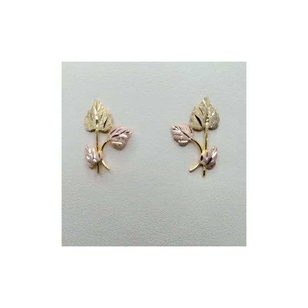 Gold Earrings Grayson & Co. Jewelers Iron Mountain, MI