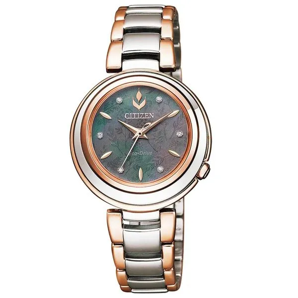 Citizen Ecodrive Watch Grayson & Co. Jewelers Iron Mountain, MI