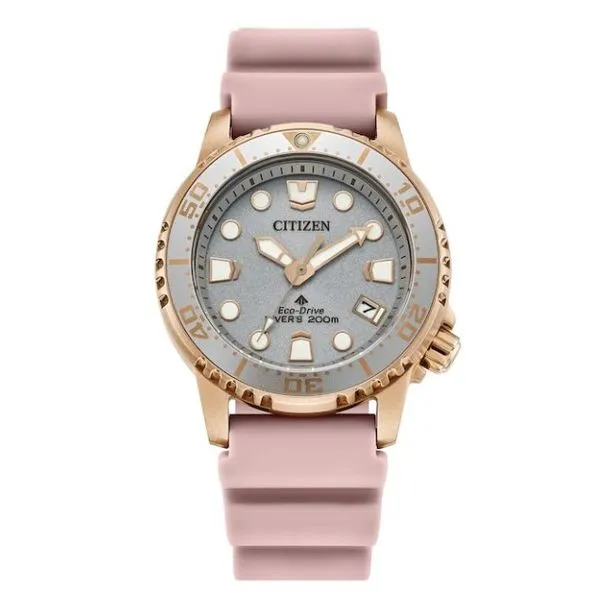 Citizen Ecodrive Watch Grayson & Co. Jewelers Iron Mountain, MI