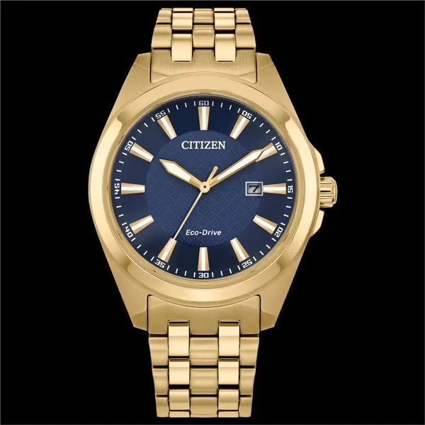 Citizen Ecodrive Watch Grayson & Co. Jewelers Iron Mountain, MI