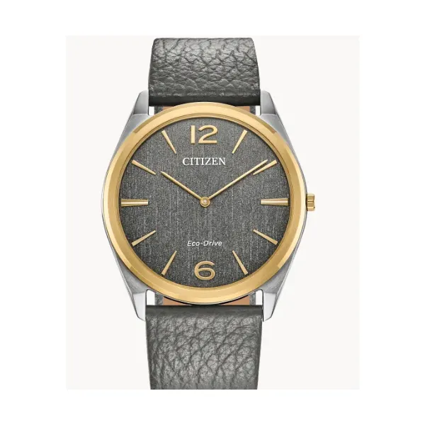 Citizen Ecodrive Watch Grayson & Co. Jewelers Iron Mountain, MI