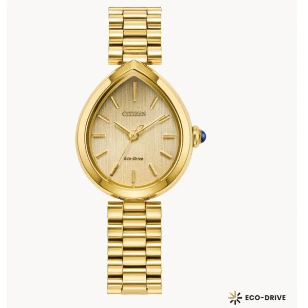 Citizen Ecodrive Watch Grayson & Co. Jewelers Iron Mountain, MI