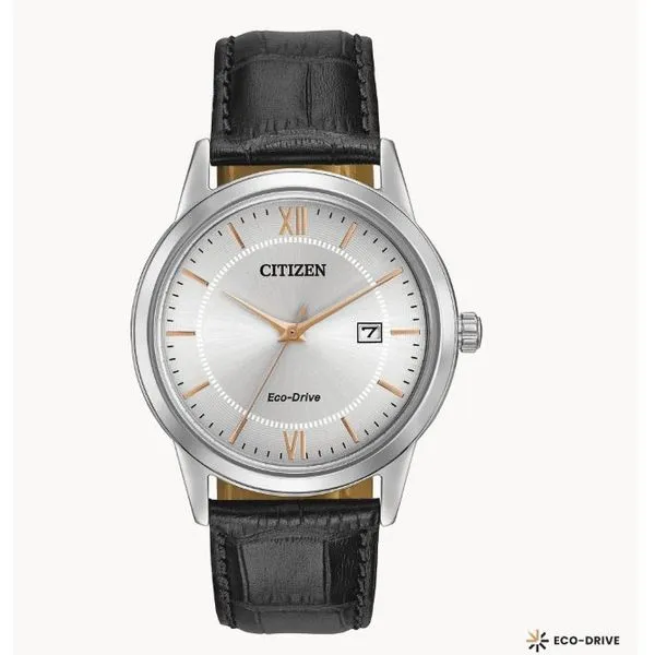 Citizen Ecodrive Watch Grayson & Co. Jewelers Iron Mountain, MI