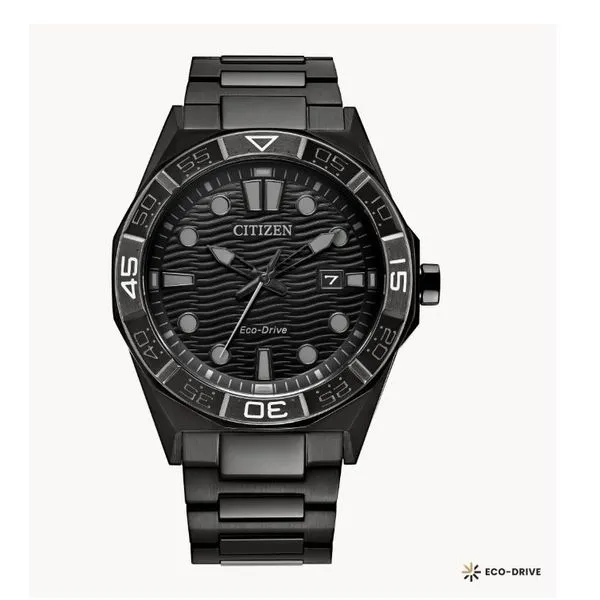Citizen Ecodrive Watch Grayson & Co. Jewelers Iron Mountain, MI