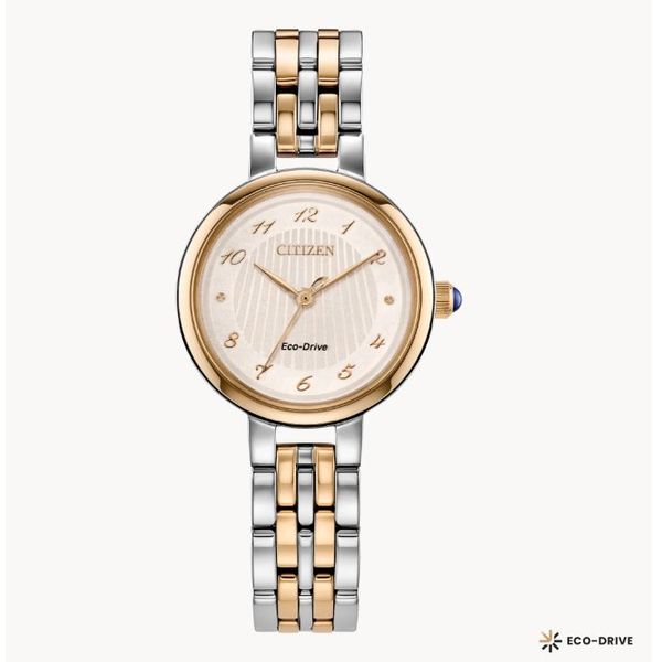 Citizen Ecodrive Watch Grayson & Co. Jewelers Iron Mountain, MI