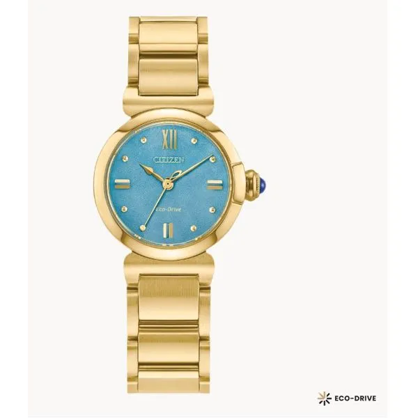 Citizen Ecodrive Watch Grayson & Co. Jewelers Iron Mountain, MI