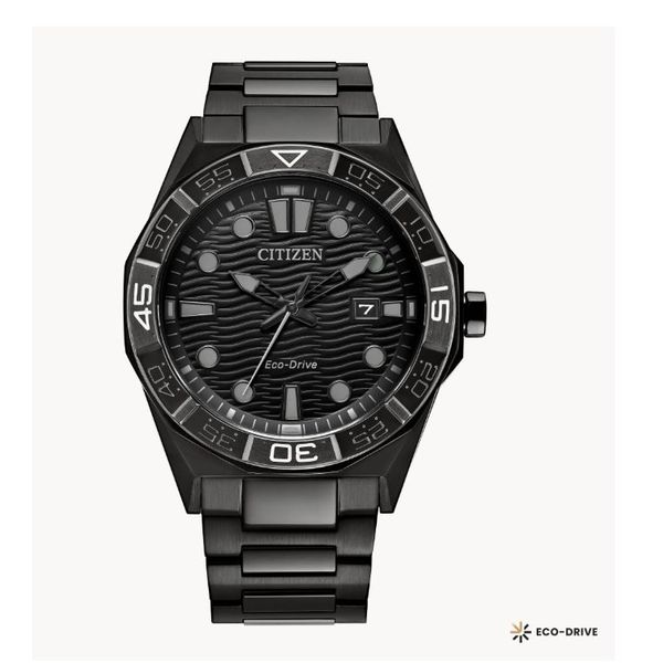 Citizen Ecodrive Watch Grayson & Co. Jewelers Iron Mountain, MI