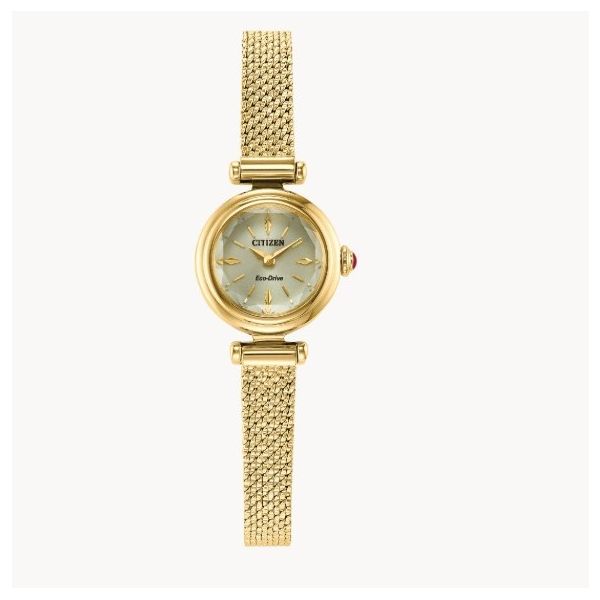 Citizen Ecodrive Watch Grayson & Co. Jewelers Iron Mountain, MI