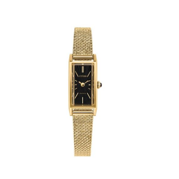 Citizen Ecodrive Watch Grayson & Co. Jewelers Iron Mountain, MI