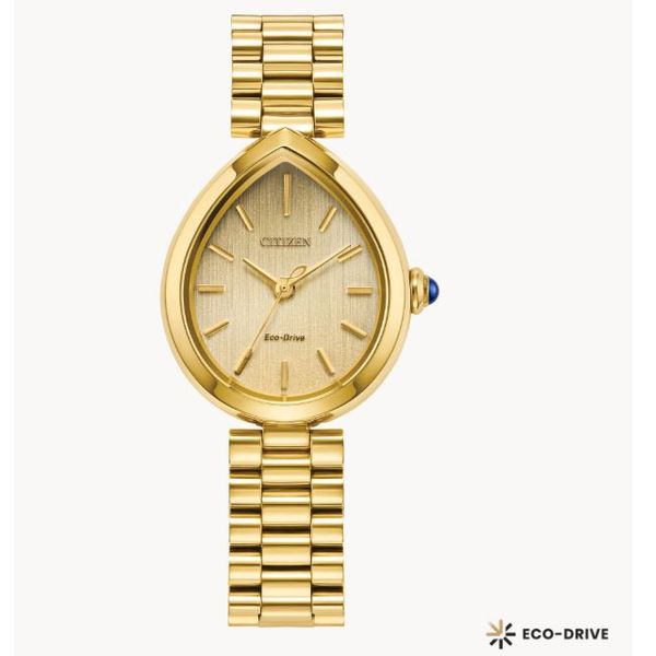 Citizen Ecodrive Watch Grayson & Co. Jewelers Iron Mountain, MI