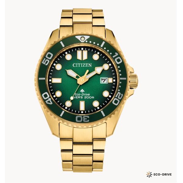 Citizen Ecodrive Watch Grayson & Co. Jewelers Iron Mountain, MI