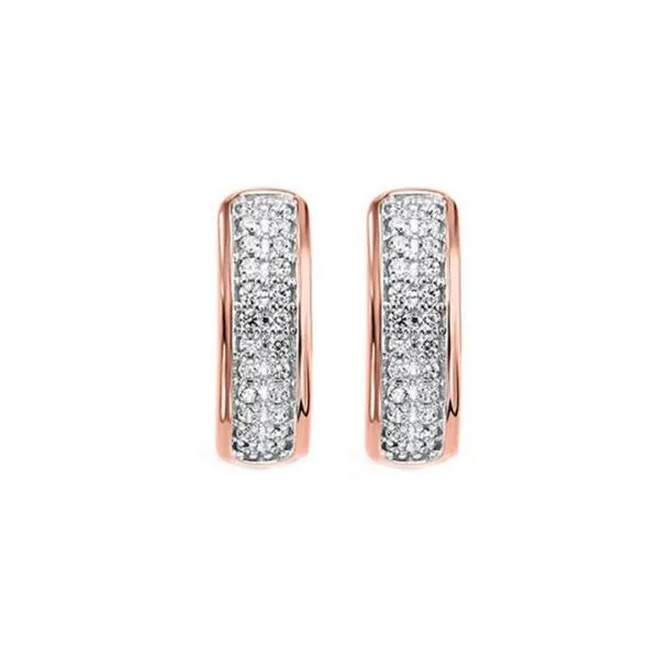 Earrings James Douglas Jewelers LLC Monroeville, PA