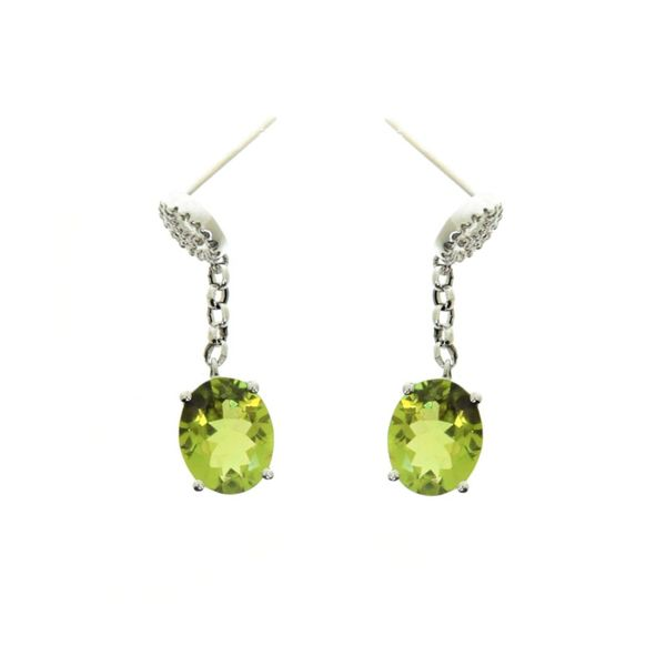 Earrings James Douglas Jewelers LLC Monroeville, PA